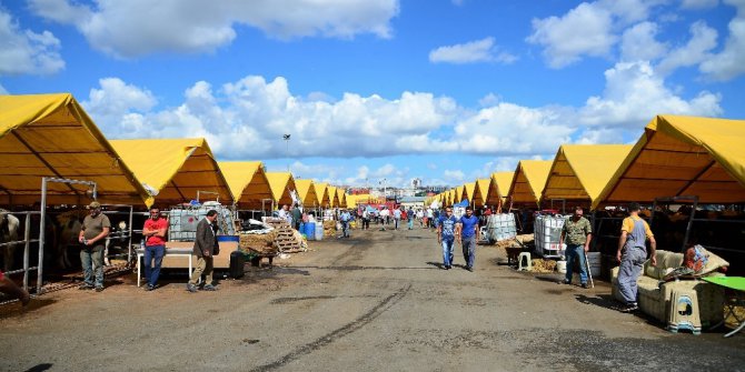 Beylikdüzü’nde en temiz kurban çadiri sahibi ödüllendirildi