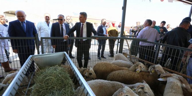 Vali ve belediye başkanından hayvan pazarına çıkarma