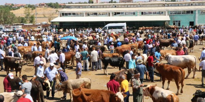 Malatya Canlı Hayvan Pazarında Arife yoğunluğu