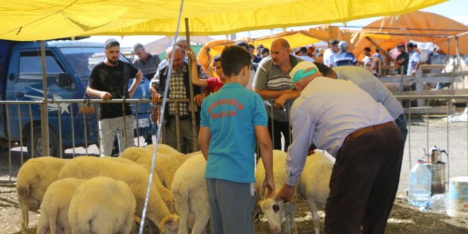 Hayvan pazarında son gün yoğunluğu