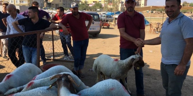 Nurdağı kurban pazarından yoğunluk yaşandı