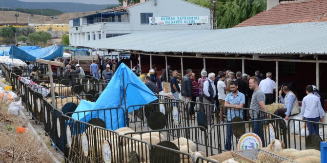 Vatandaşlar Bozüyük Belediyesi hayvan pazarına akın etti