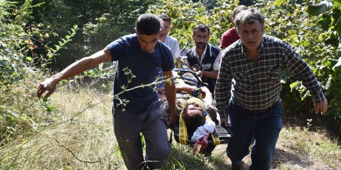 Sakarya’da trafik kazası: 2 ölü 2 yaralı