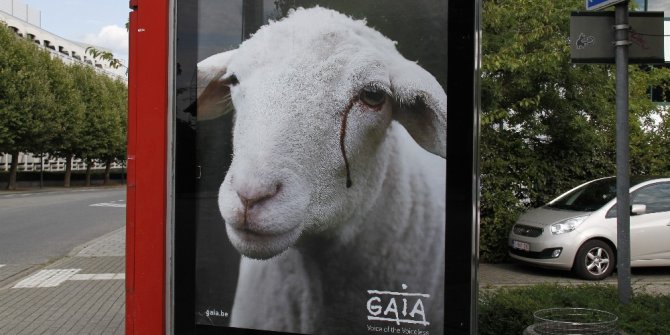 Belçika’da Kurban Bayramı öncesi tepki çeken afiş