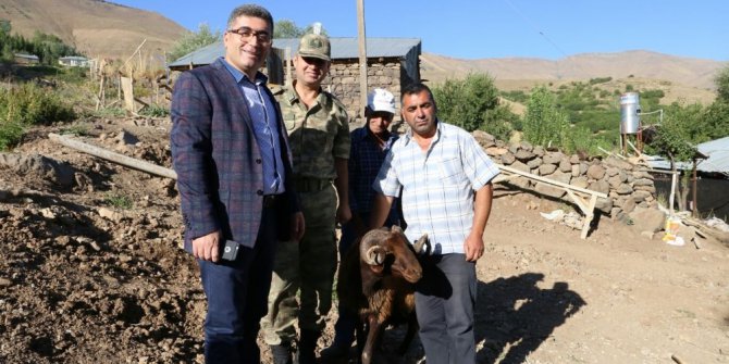 Kaymakam Çetin’den şehit ailelerine kurbanlık koyun yardımı