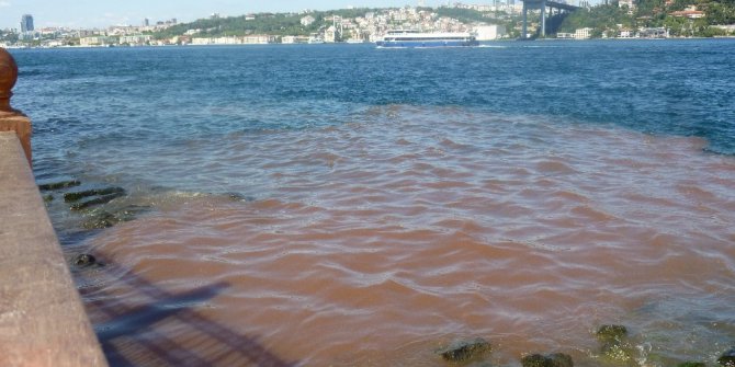 İstanbul Boğazı kana büründü