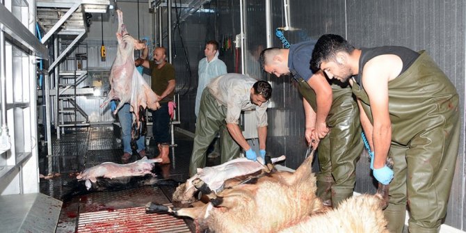 Çatak’ta bayramlaşma