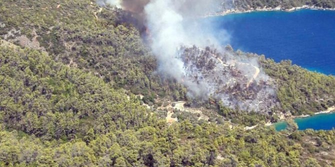 Muğla’da orman yangını