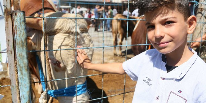Bağcılar’da Kurban Bayramı bereketi