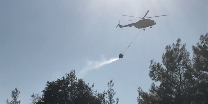 Akbük Koyu’ndaki yangın kontrol altına alındı