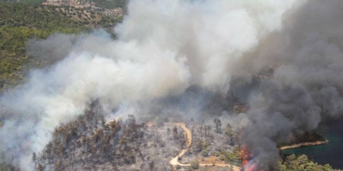 Milas’ta orman yangını