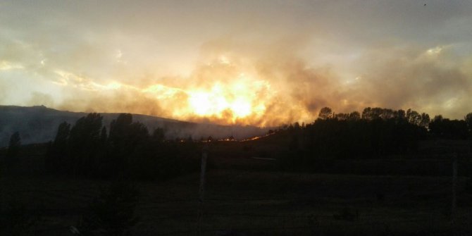 Kars’ta askeri bölgede orman yangını