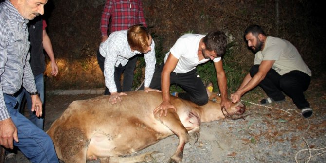 Firari kurbanlığı yakalamak için 6 saat ter döktüler