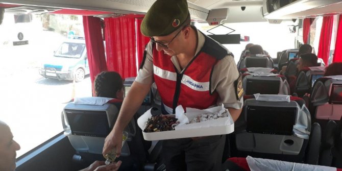 Jandarma’dan memnun bırakan denetim