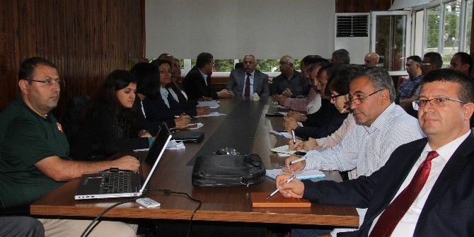 Tehlikeli Böcek Masaya Yatırıldı