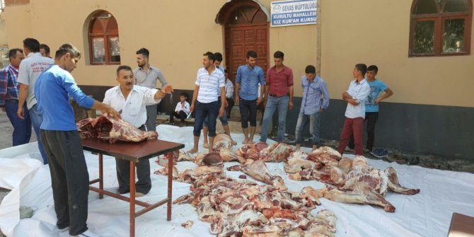 Bu köyde kurbanlar bir yerde toplanıp öyle dağıtılır