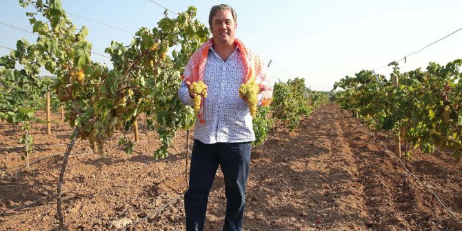 Buca’da Bağ Bozumu Şenliği 10 Eylül’de