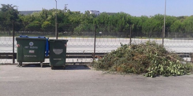 İzmit’te budanan ağaç dalları toplanıyor