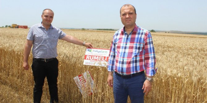 Milli tohum ‘Rumeli’ye talep bu yıl da yüksek