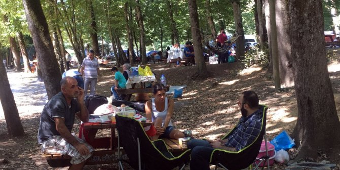 İstanbullular bayramın ikinci günü piknik alanlarına akın ettiler