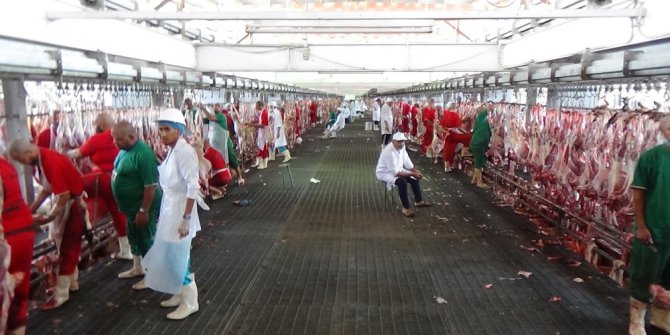 Suudi Arabistan’da 1 milyon adet kurban kesilecek