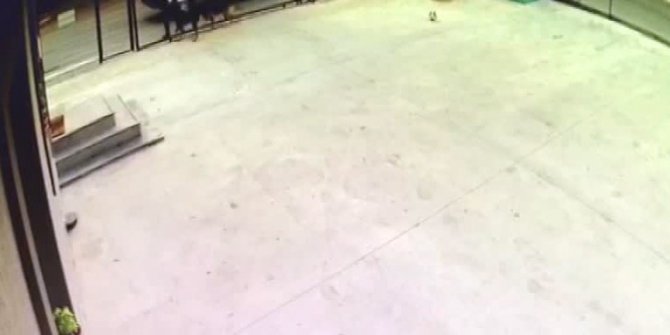 Organize hırsızlık çetesi soygunu bırakıp böyle kaçtı