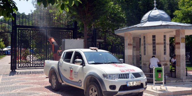 Bilecik’in cadde ve sokaklarını gül kokusu sardı