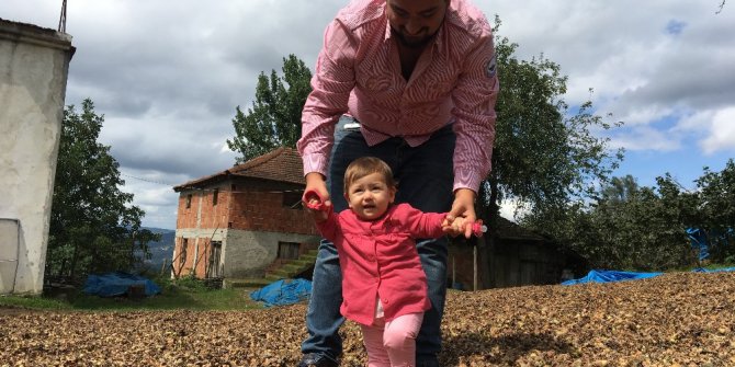 Üretici fındıkla yatıyor, fındıkla kalkıyor