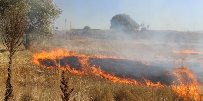 Anız yangını büyümeden söndürüldü