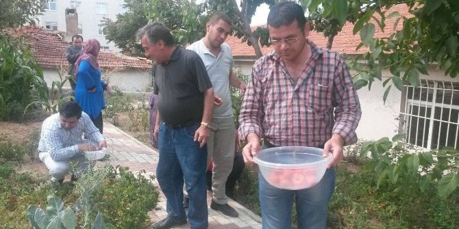 Yozgat Toplum Sağlı Merkezinde Hastalar Yetiştirdikleri Sebzeleri Topladı