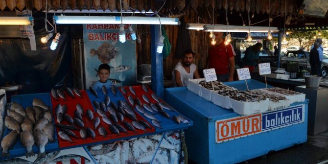 Balık sezonu açıldı tezgahlar şenlendi