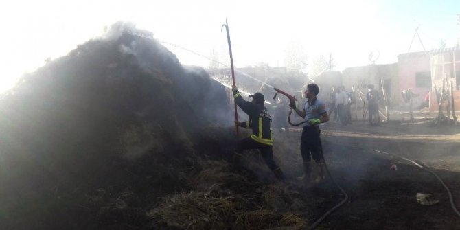 Van’da ot yangını