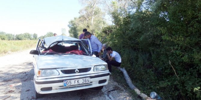 Sinop’ta otomobilin üzerine ağaç düştü: 1 ölü, 2 yaralı