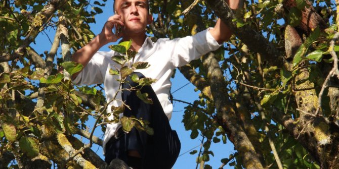 Yakınlarıyla bayramlaşabilmek için ağaçlara çıktılar