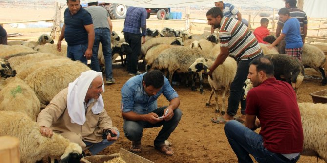 Kurbanlık satışları bayramın üçüncü gününde de devam etti