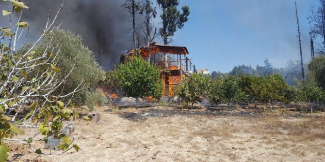 Antalya’da meyve bahçesinde yangın