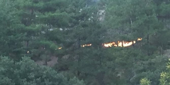 Bolu’da orman yangını