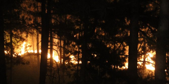 İzmaritten çıktığı tahmin edilen yangın 7 saattir devam ediyor