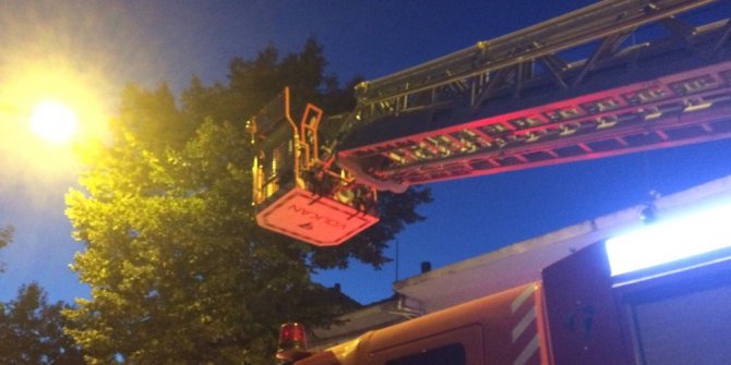 Bu kez ağaçta drone mahsur kaldı