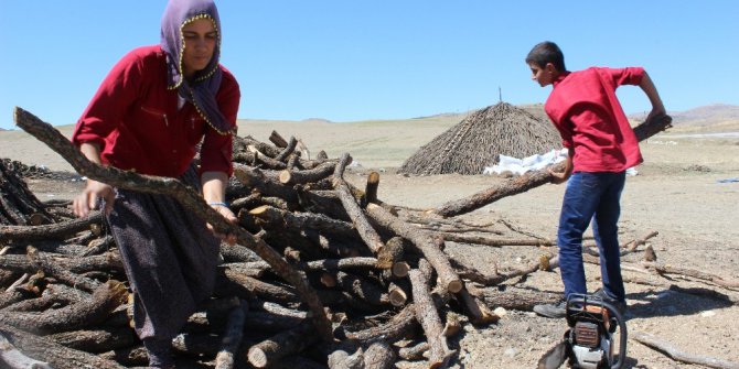 Başkent’in yanı başında herkes bayram yaparken mangal kömürü için ter döküyorlar