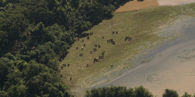 Harvey kasırgasının ABD’ye maliyeti 180 milyar dolar