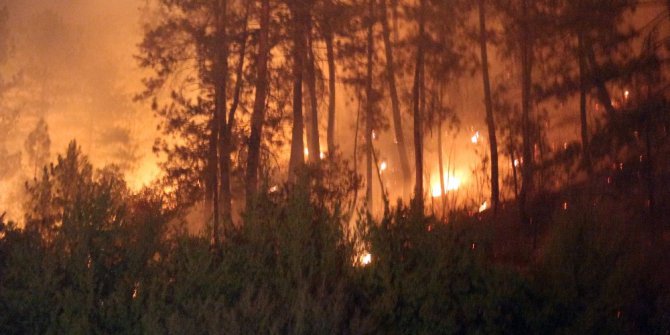 Bolu’da orman yangını 2’nci gününde devam ediyor