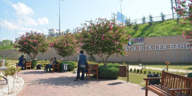 Tıbbi Aromatik Bitkiler Bahçesi’ne ilgi yoğun