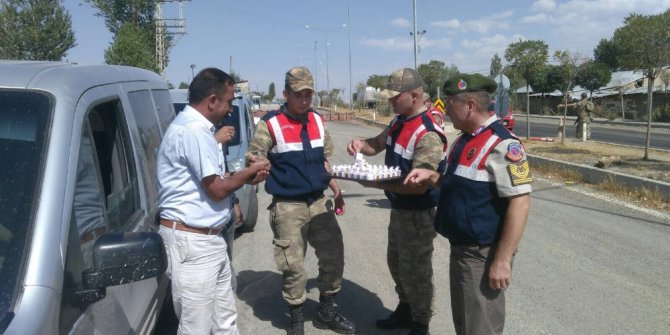 Jandarmanın denetimleri