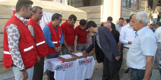 Türk Kızılayı Van’da 600 büyükbaş kurban kesti