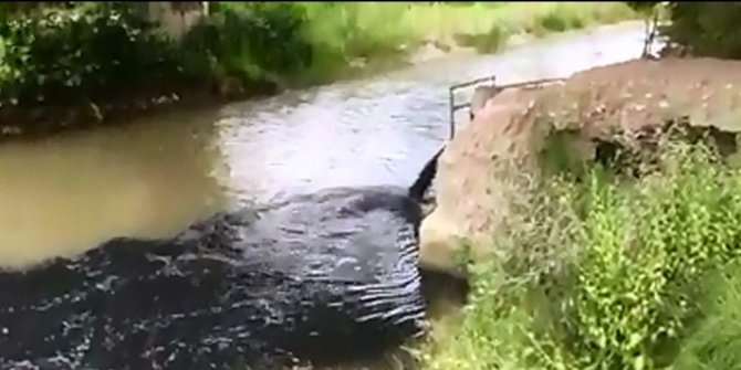 Mudurnu Deresi’ne atılan atıklar dereyi siyaha bürüdü