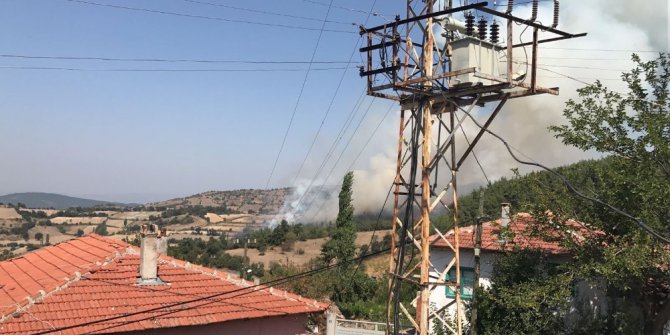 Kepsut’ta orman yangını