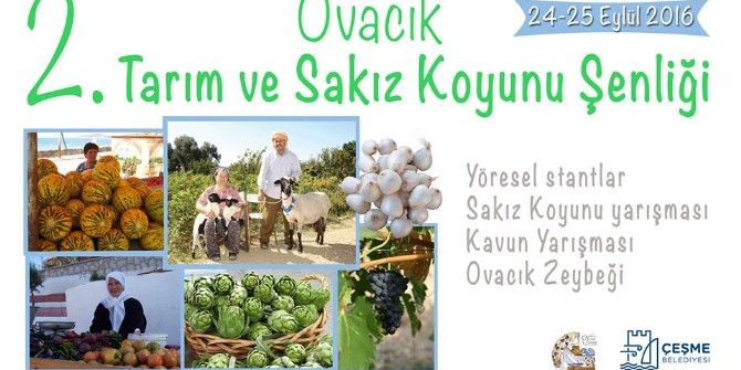 2. Ovacık Tarım Ve Sakız Koyunu Şenliği Başlıyor