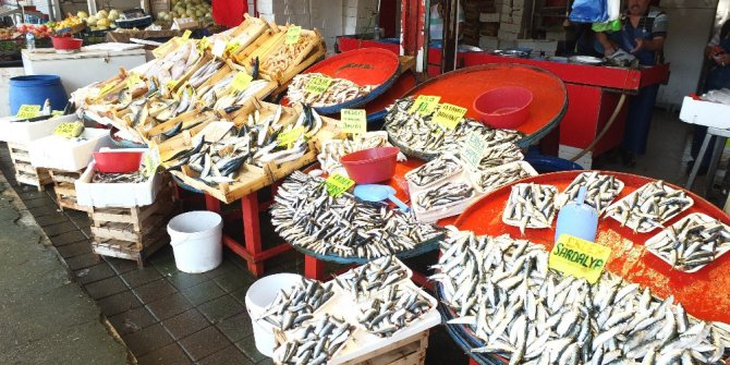 Kurban bayramı balıkçıyı vurdu