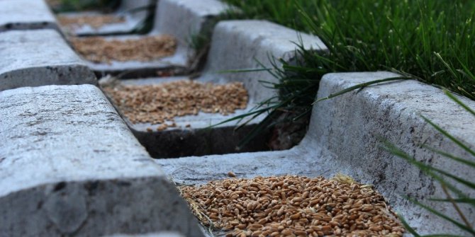 İnsanlar hayvanlara duyarsız kalmadı